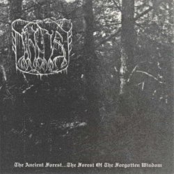 The True Nihilist - The Ancient Forest... The Forest Of The Forgotten Wisdom (2007)