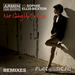 Armin van Buuren vs Sophie Ellis-Bextor - Not Giving Up On Love (Remixes) (2010)