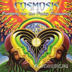 Cosmosis - Fumbling For The Funky Frequency (2009)