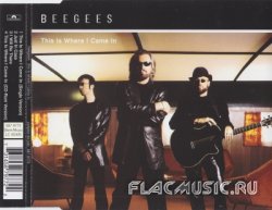 Bee Gees - This Is Where I Came In [CDS] (2001)