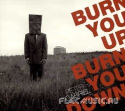 Peter Gabriel - Burn You Up, Burn You Down [Single] (2003)