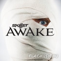 Skillet - Awake (2009)