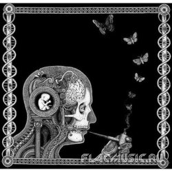 Soen - Cognitive (2012)