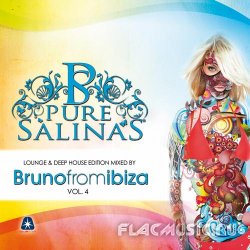 VA - Pure Salinas Vol.4 [2CD] (2012)