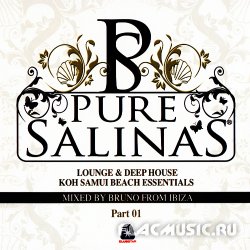 VA - Pure Salinas Vol.1 [2CD] (2009)