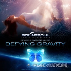 Solarsoul - Defying Gravity (2013) [WEB]