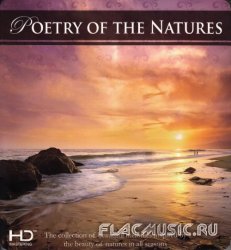 Blue Seas Grand Orchestra - Poetry Of The Natures [2CD] (2013)