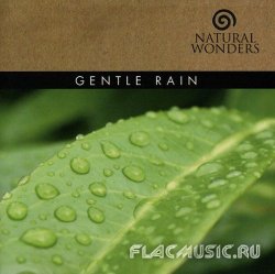 David Arkenstone - Gentle Rain (2006)