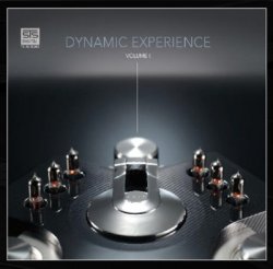 VA - Dynamic Experience Vol.1 (2011)