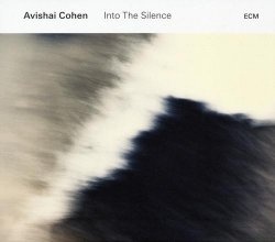 Avishai Cohen - Into The Silence (2016)