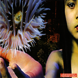 The Future Sound Of London - Lifeforms [2CD] (1994)