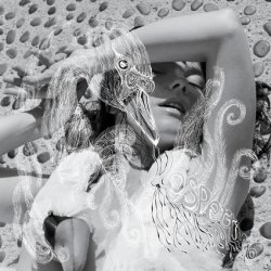 Bjork - Vespertine (2001)