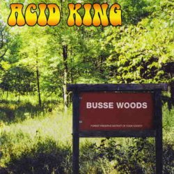Acid King - Busse Woods (1999) [Reissue 2004]
