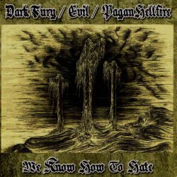 Dark Fury & Evil & Pagan Hellfire - We Know How To Hate (2012)