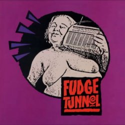 Fudge Tunnel - Fudgecake (1992)