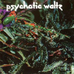 Psychotic Waltz - Mosquito (1994)