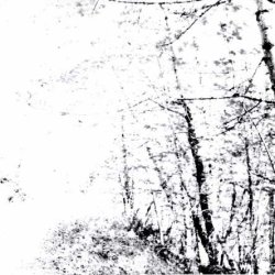 Agalloch - The White [EP] (2008) [Reissue 2012]