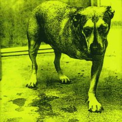 Alice In Chains - Alice In Chains (1995)