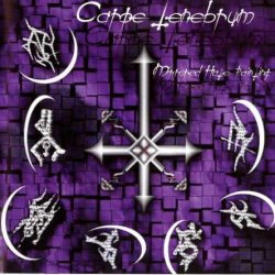Carpe Tenebrum - Mirrored Hate Painting (1999)