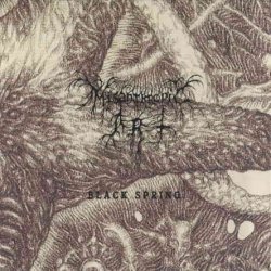 Misanthropic Art - Black Spring (2012)