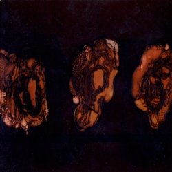 Deathspell Omega - Kenose (2005)