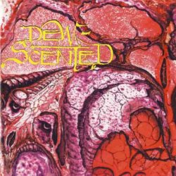 Dew-Scented - Immortelle (1996)