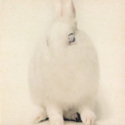 Deine Lakaien - White Lies (2003)