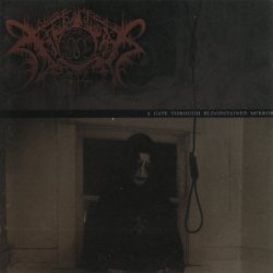 Xasthur - A Gate Through Bloodstained Mirrors (2004)