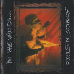 In The Woods... - Strange In Stereo (1999)